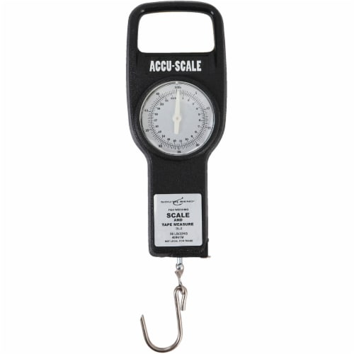 South Bend® 50 Pound Scale & Tape Measure Perspective: top