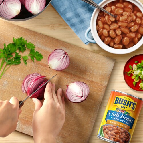 Bush's Pinto Beans in a Medium Chili Sauce 16 oz Perspective: top