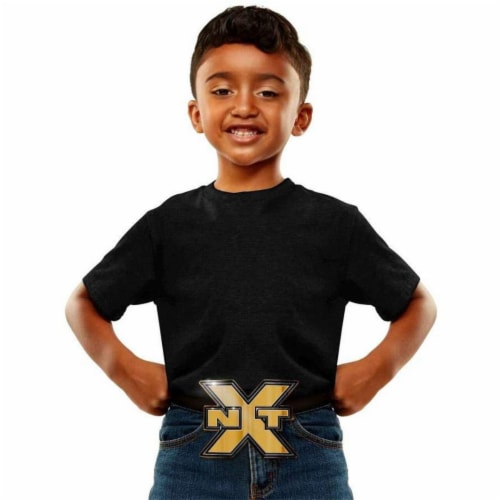 WWE Championship NXT Champion Belt Buckle Perspective: top