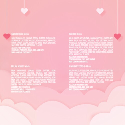 Snickers Twix & More Assorted Chocolate Valentine Day Candy Perspective: top