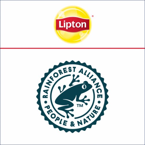 Lipton Family Unsweetened Decaffeinated Black Iced Tea Bags Perspective: top