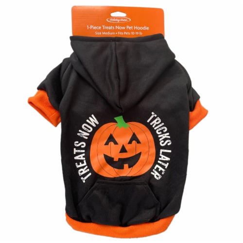 Holiday Home® Medium Treats Now Hoodie Pet Costume Perspective: top