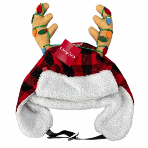 Holiday Home Novelty Santa Hat with Antlers Perspective: top