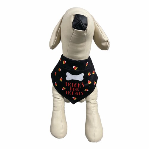Holiday Home Trick or Treat Pet Bandana Perspective: top