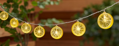 HD Designs Outdoors Fruit String Lights Perspective: top