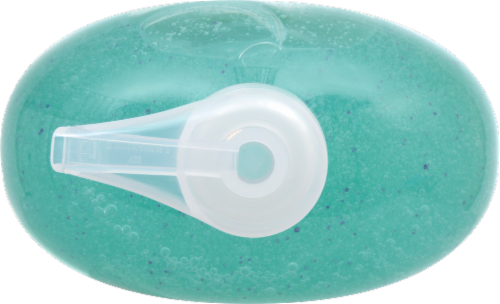 Kroger® Himalayan Salt Exfoliating Body Wash Pump Perspective: top