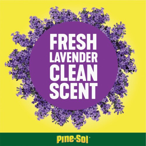 Pine-Sol™ Lavender Clean® Multi-Surface Cleaner & Deodorizer Perspective: top