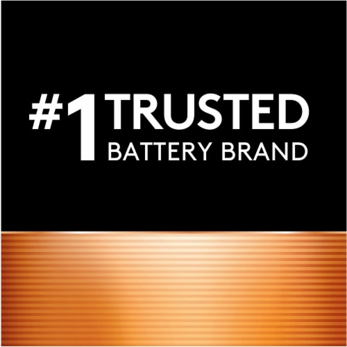 Duracell® Coppertop Alkaline D Batteries Perspective: top