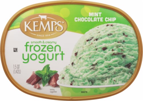 Kemps Smooth & Creamy Mint Chocolate Chip Frozen Yogurt Tub Perspective: top