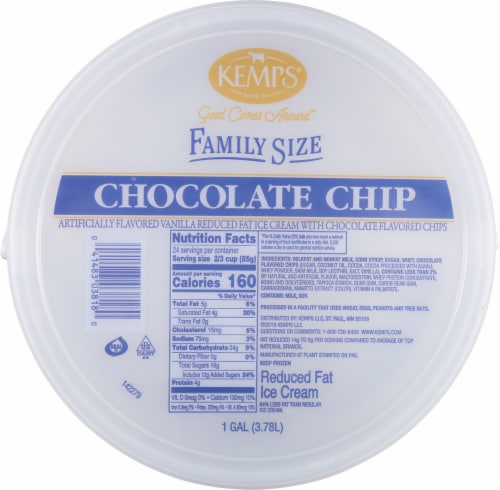Kemps Chocolate Chip Reduced Fat Ice Cream Perspective: top