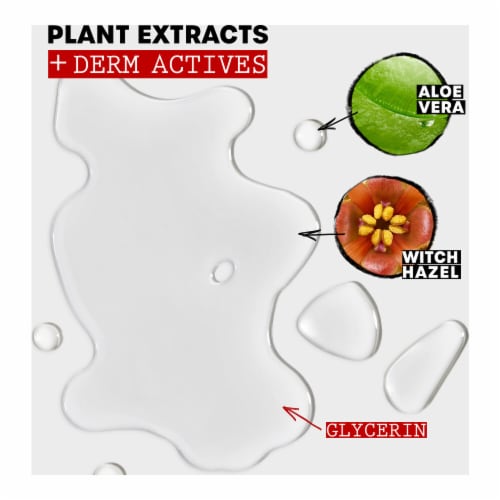 Thayers Natural Remedies Original Astringent with Witch Hazel Perspective: top