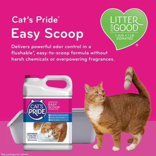 Cat's pride litter best sale reviews