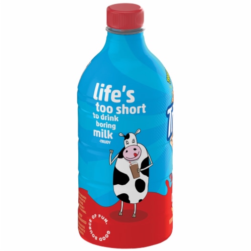 TruMoo Vitamin D Whole Chocolate Milk Perspective: top