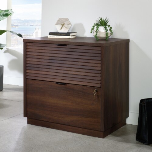 Sauder Palo Alto 2 Drawer Commercial Lateral File Cabinet 1