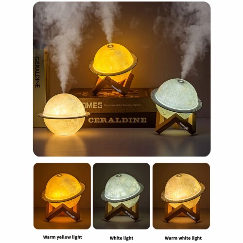 Renewgoo Moon Lamp Aroma Diffuser LED Night Light Planetary USB Mist Humidifier Perspective: top