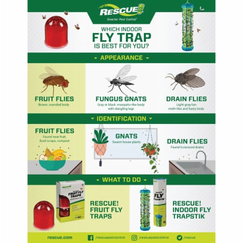 Rescue!® Indoor TrapStik for Flies Perspective: top