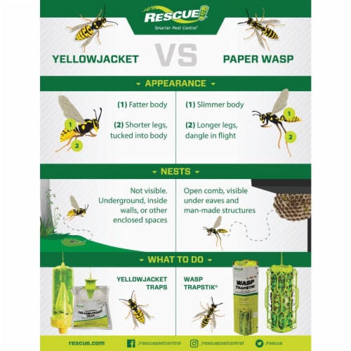 Rescue!® TrapStik® Wasp Trap Perspective: top