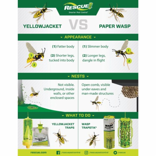 Rescue!® TrapStik® Wasp Trap Perspective: top