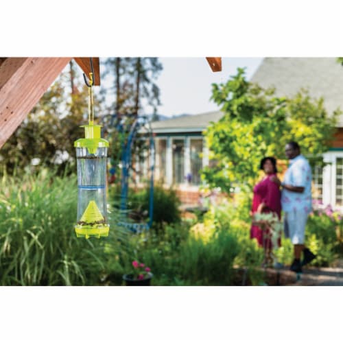 Rescue!® Disposable WHY Wasps Hornets and Yellowjackets Trap Perspective: top