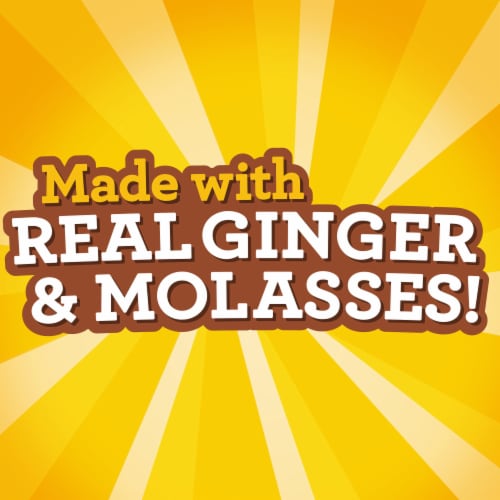 Nabisco Ginger Snaps Cookies Perspective: top