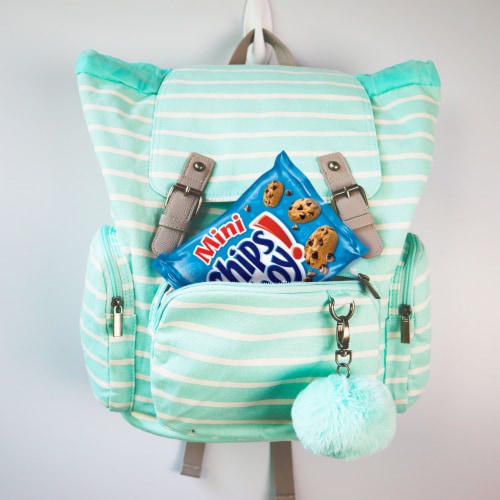 OREO CHIPS AHOY! Nutter Butter RITZ Bits Cookies & Crackers Variety Pack Perspective: top