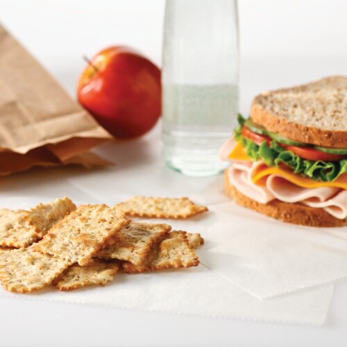 RITZ Toasted Chips Veggie Crackers Perspective: top