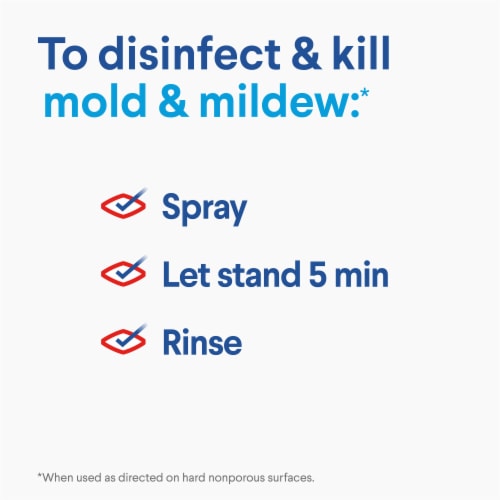 Clorox Plus Tilex Mold and Mildew Remover Perspective: top