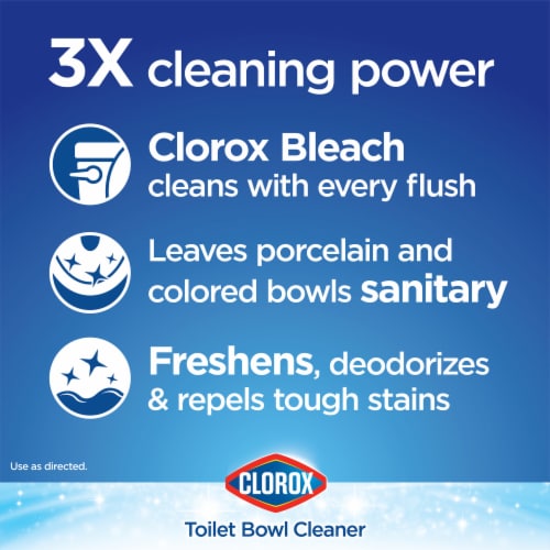 Clorox Ultra Clean Bleach and Blue Rain Clean Toilet Tablets Perspective: top