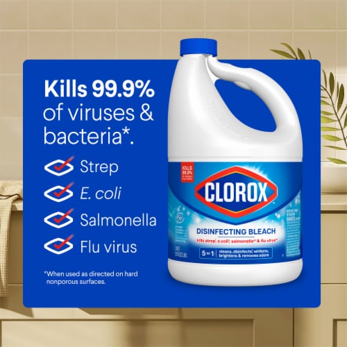 Clorox Disinfecting Bleach Perspective: top