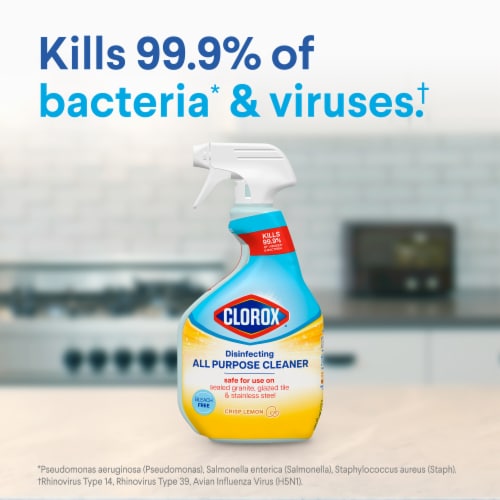 Clorox Bleach Free Disinfecting All Purpose Cleaner Crisp Lemon Perspective: top