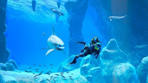 Nintendo Switch™ Endless Ocean Luminous Perspective: top