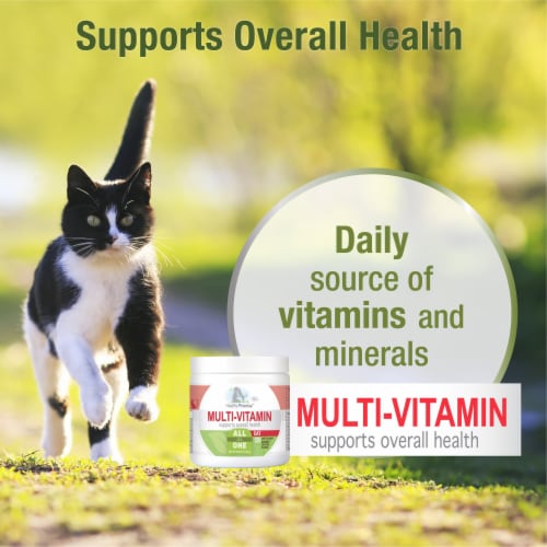 Four Paws Cat Multi Vitamin Soft Chews Perspective: top