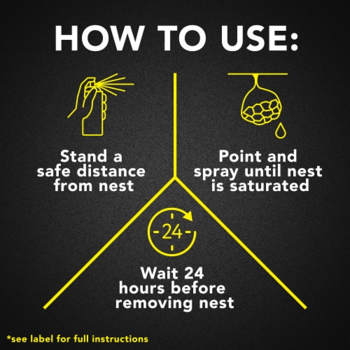 Raid Wasp & Hornet Insect Killer Perspective: top