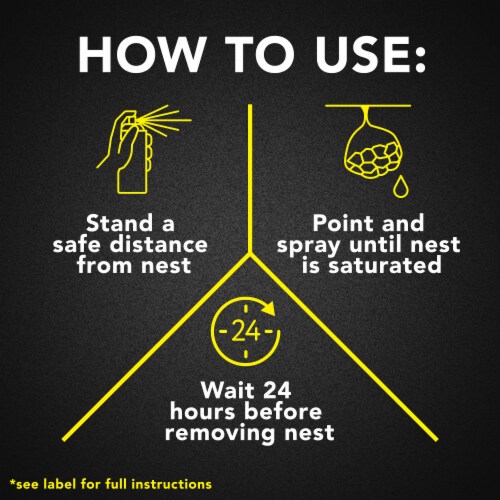 Raid Wasp & Hornet Insect Killer Perspective: top