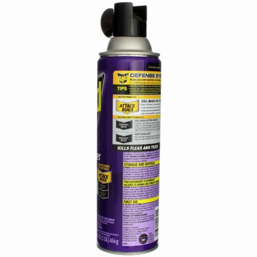 Raid flea killer for home shop and dogs