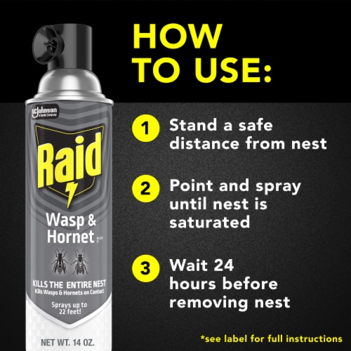 Raid® Wasp and Hornet Spray Value Pack Perspective: top