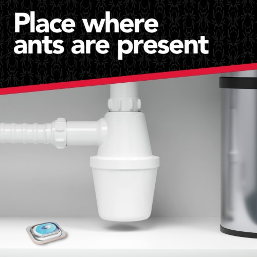 Raid® Max Liquid Ant Baits Perspective: top