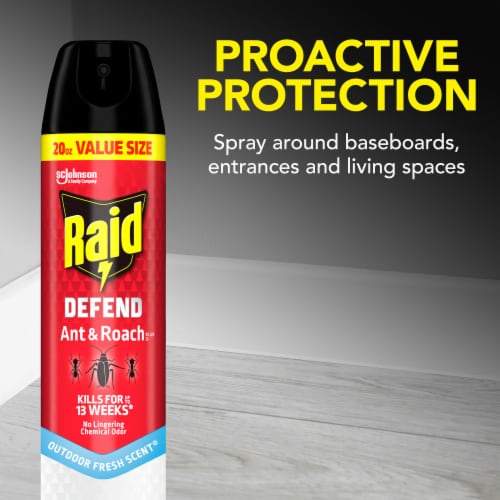 Raid Defend Ant & Roach Killer, Indoor Insecticide, Residual Killing Power, Outdoor Fresh Scent Perspective: top