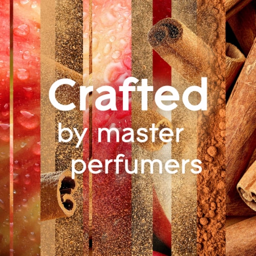 Glade® Plugins® Autumn Spiced Apple Scented Oil Refills Perspective: top