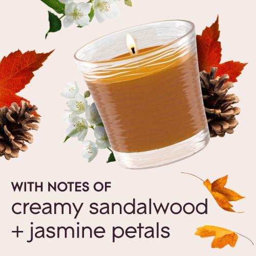 Glade Single Wick Candles, Cashmere Woods, 8.16 oz, 2 Count Perspective: top