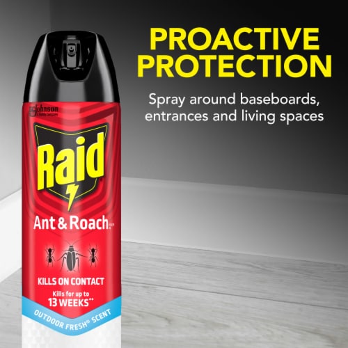 Raid® Outdoor Fresh Scent Ant & Roach Defense Spray Outdoor Bug Killer Spray Perspective: top