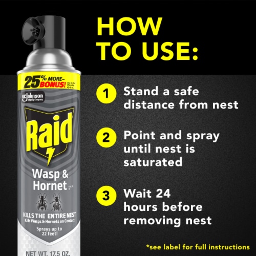 Raid Wasp & Hornet Killer, Outdoor Flying Insect Spray, 17.5 oz Perspective: top