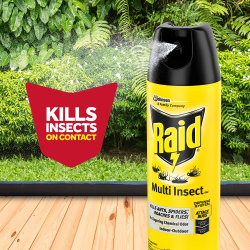 Raid Multi Insect Killer 7, Indoor & Outdoor Insecticide Spray, 15 oz Perspective: top