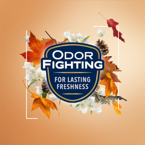 Glade® Automatic Spray Air Freshener Cashmere Woods Twin Refills Perspective: top