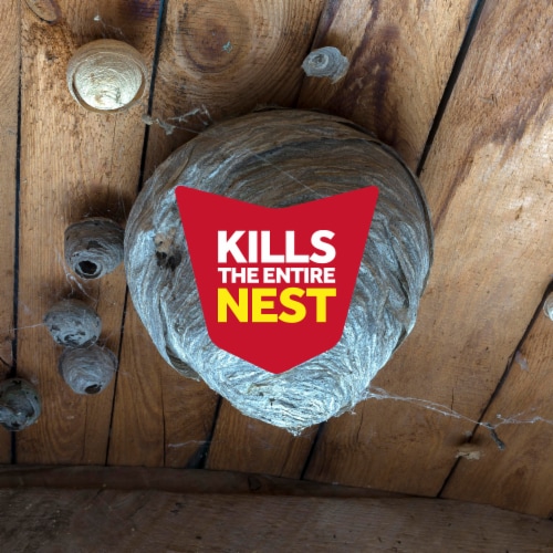 Raid Wasp & Hornet Insect Killer 33, Sprays up to 22 Feet & Kills Entire Nest, 17.5 oz Perspective: top