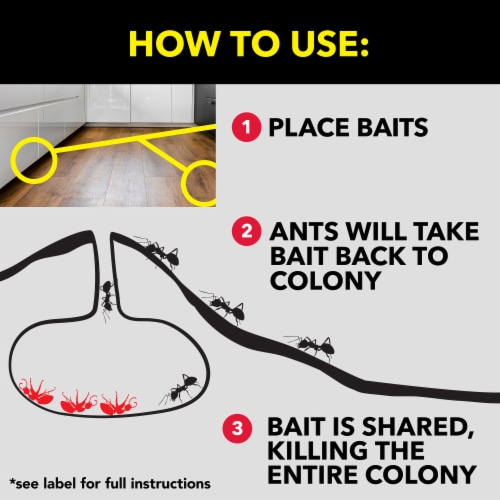Raid® Ant Baits Perspective: top