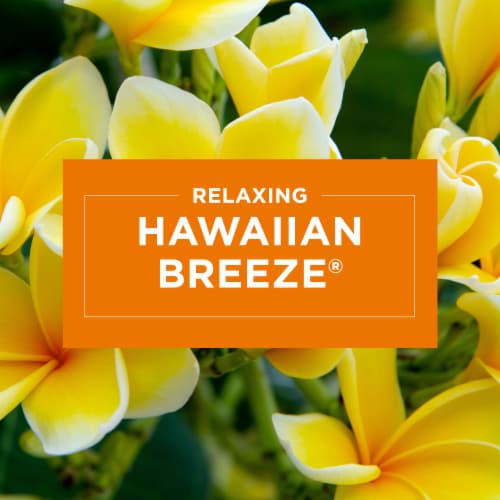 Glade® Hawaiian Breeze® Jar Candle Perspective: top