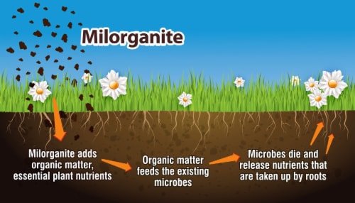 Milorganite® Slow-Release Nitrogen Lawn Fertilizer Perspective: top