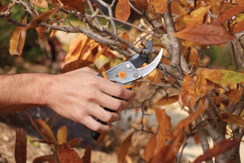 Fiskars® Traditional Bypass Pruner Perspective: top