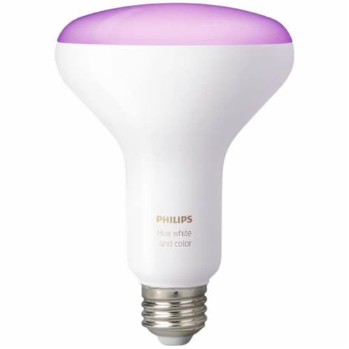 Philips hue discount white br30